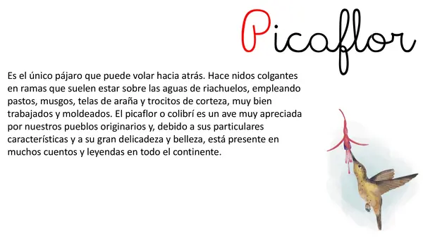 Lección 14 Picaflor Parte 2 Mayúsculas Método Matte