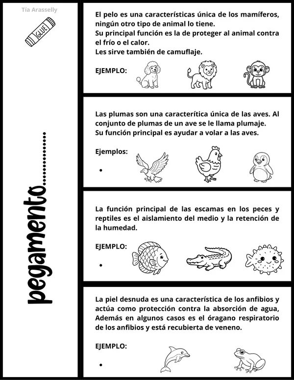 Flipbook - Características de los animales