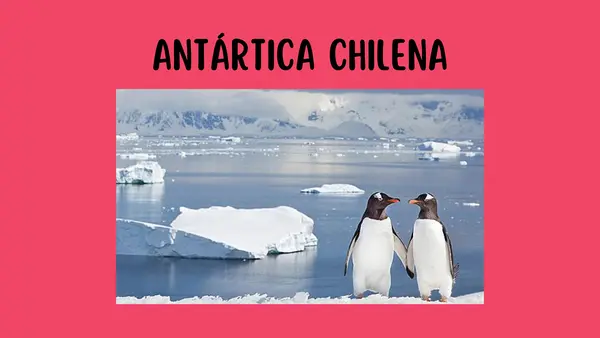 5° Clase geografía Zona Austral