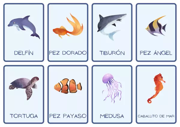 Flashcards.. contiene Animales del Océano y sus nombres