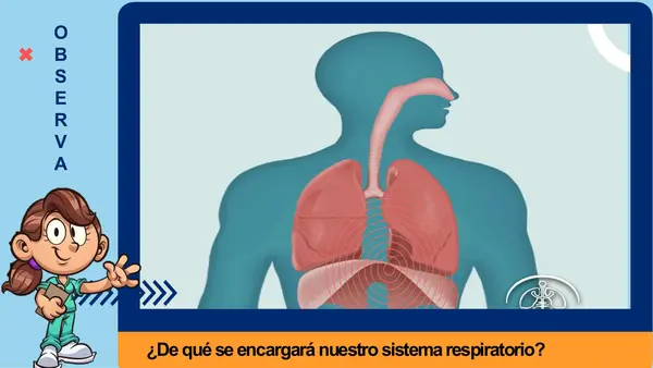 EL SISTEMA RESPIRATORIO