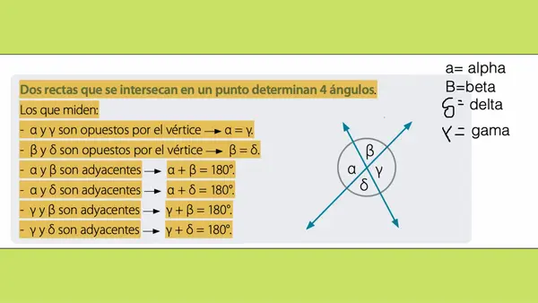 Ángulos opuestos por el vertice