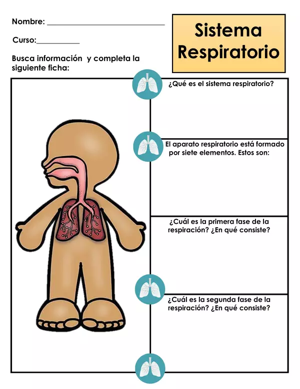 Guía de trabajo - Sistema respiratorio