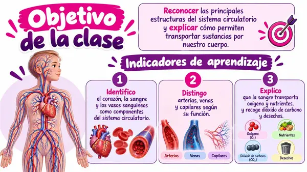 5TO OA 4 SISTEMA CIRCULATORIO