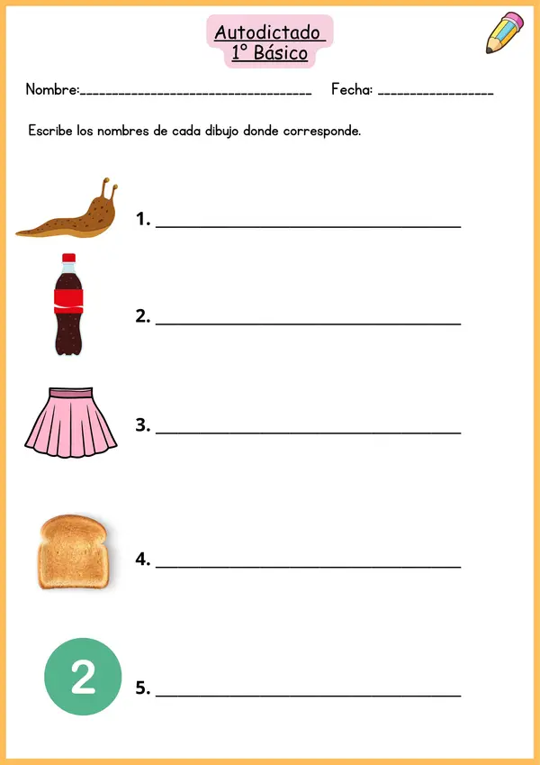Autodictado 1° semestre 