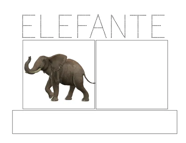 Ficha de escritura 