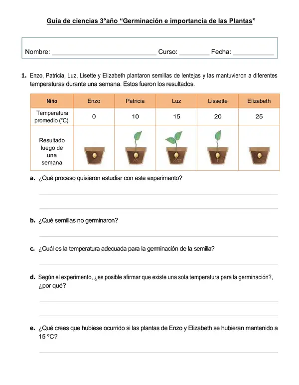 Guía de ciencias 3°año "Germinación e importancia de las plantas"