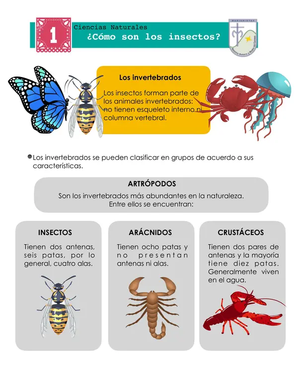 Guía de trabajo vertebrados e invertebrados 