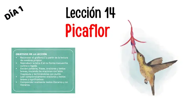 Lección 14 Picaflor Parte 2 Mayúsculas Método Matte