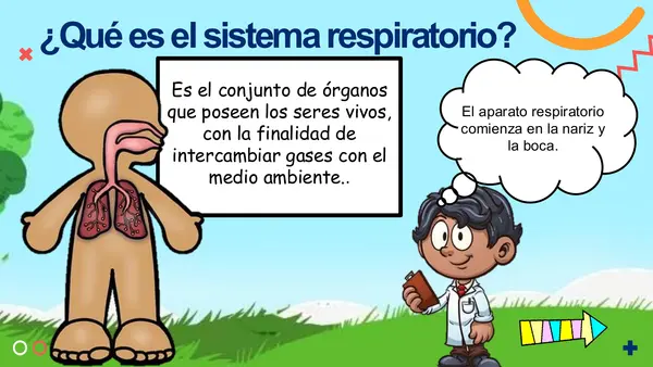EL SISTEMA RESPIRATORIO