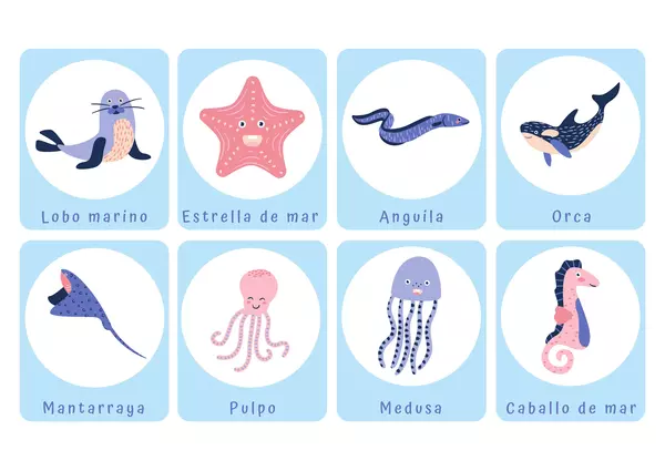 Tarjetas con Ilustraciones: Animales de mar.