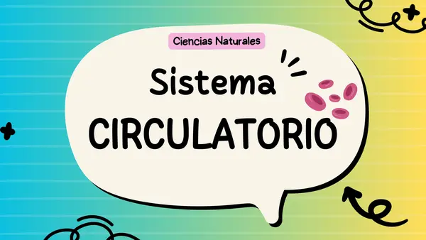 Sistema Circulatorio 5°año Básico