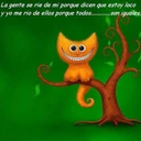 Liliana Almeida - @almeida.lilianita