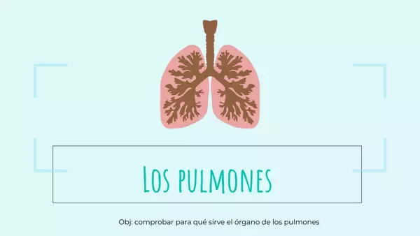 Clase explicativa sobre los pulmones