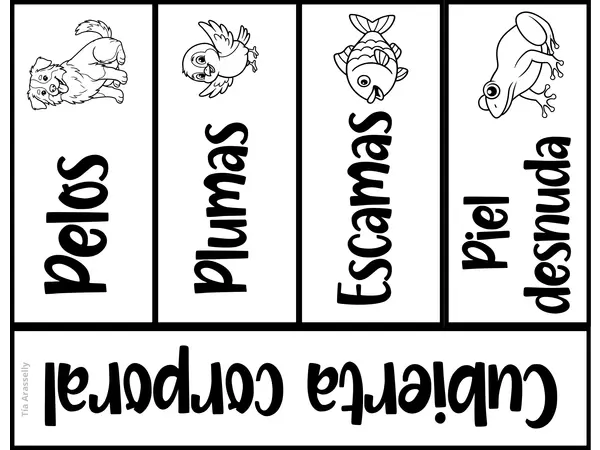 Flipbook - Características de los animales