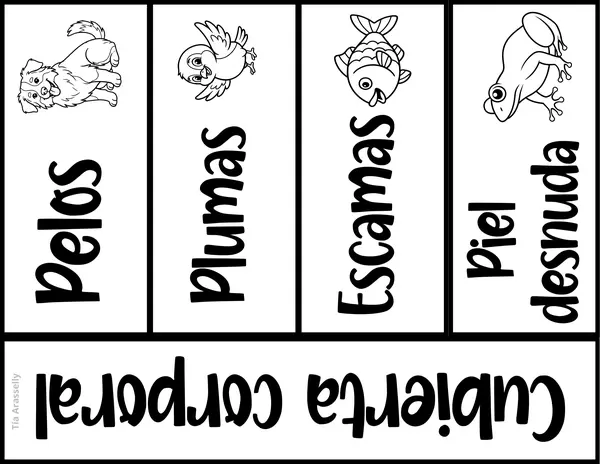 Flipbook - Características de los animales