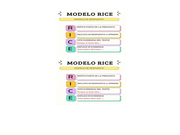 METODO RICE