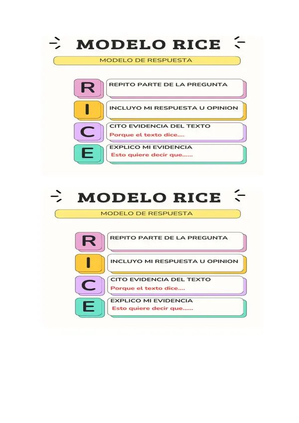 METODO RICE