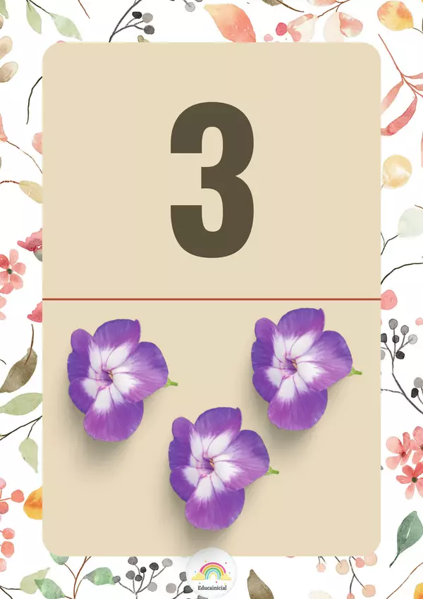 Banda numérica floral