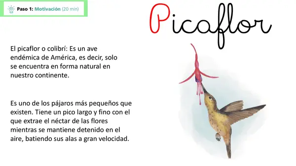 Lección 14 Picaflor Parte 2 Mayúsculas Método Matte