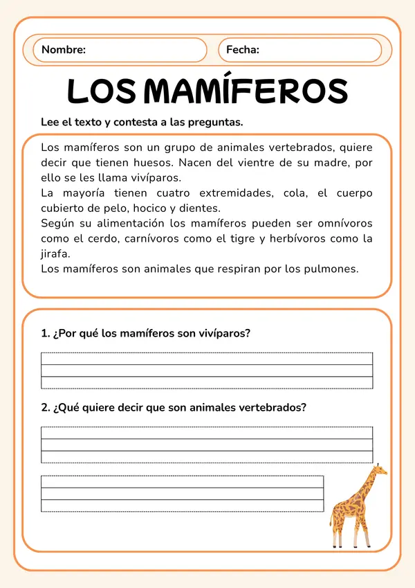 Comprensión Lectora 2° -3° año básico.