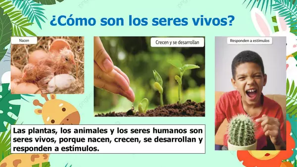 ppt alimentación de los animales primero básico.