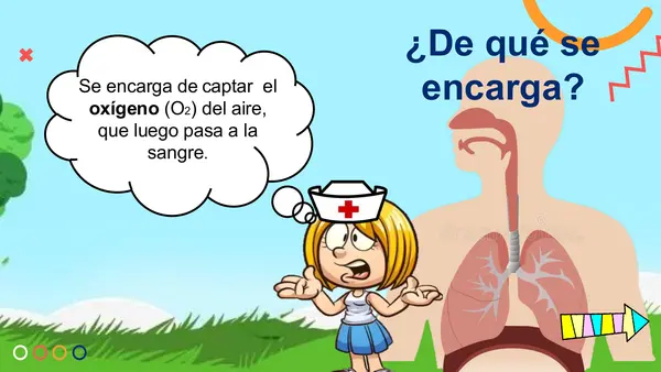 EL SISTEMA RESPIRATORIO