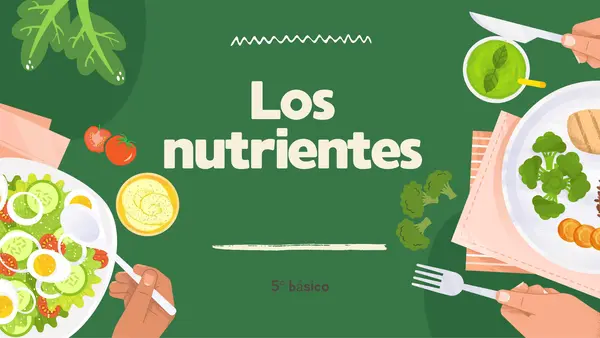 Los nutrientes 