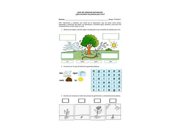 Guía sobre las plantas y sus necesidades para vivir