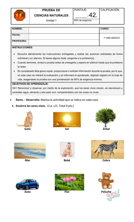 Prueba de Ciencias Naturales Primero básico "Los sentidos" Unidad 1-
