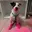 mynor chen - @mynor.chen