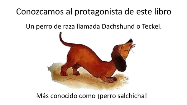 El Perro Confundido"  Preparación para la lectura. 