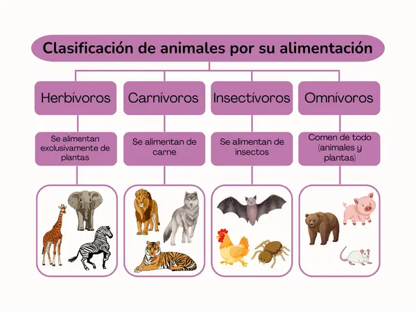 Clasificación de animales por su alimentación