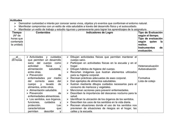 Todas las planificaciones anuales de Primero Basico , mas de 100 paginas de contenido