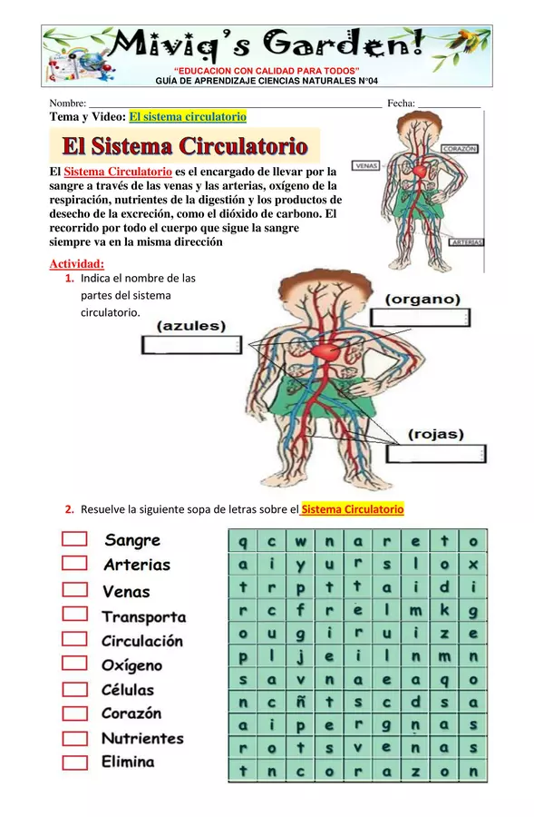 El sistema Circulatorio