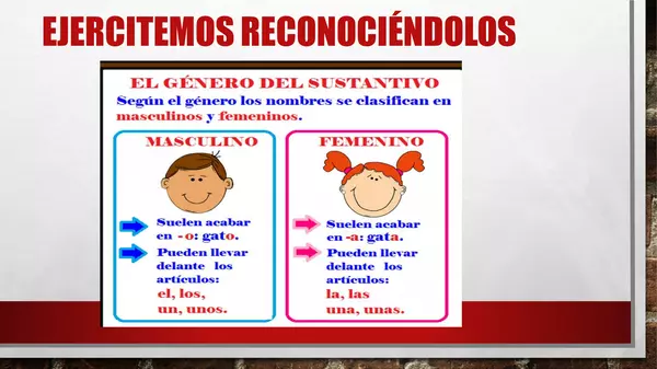 género y número  