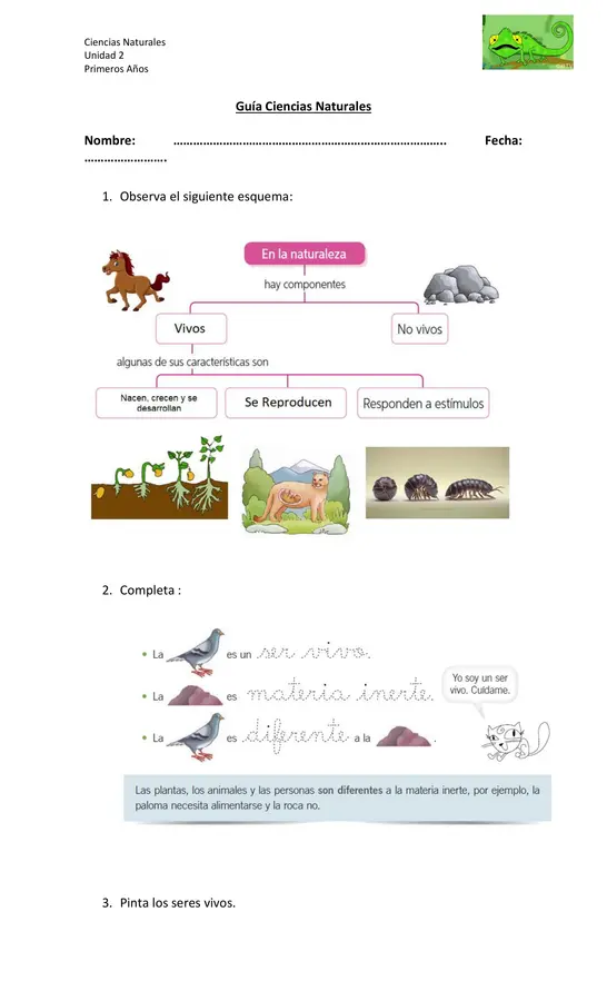Guía Seres Vivos 1° Básico