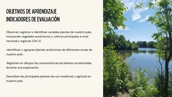 Libro "Plantas autóctonas Chilenas"