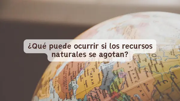 Los recursos naturales | Cuarto Básico