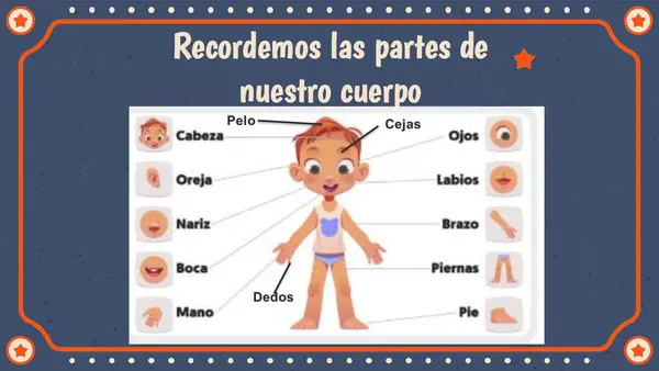 Partes del Cuerpo