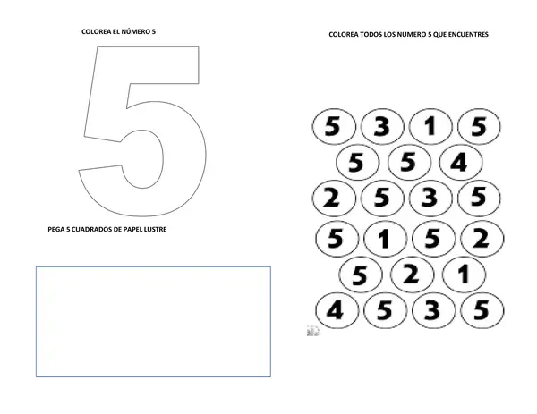 numero 5