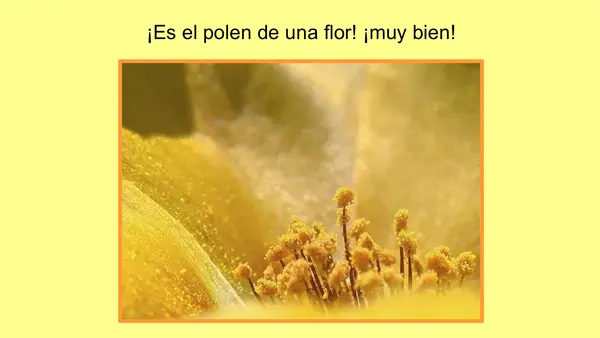 La Abeja Haragana. Clase N°3. Activación de conocimientos previos 