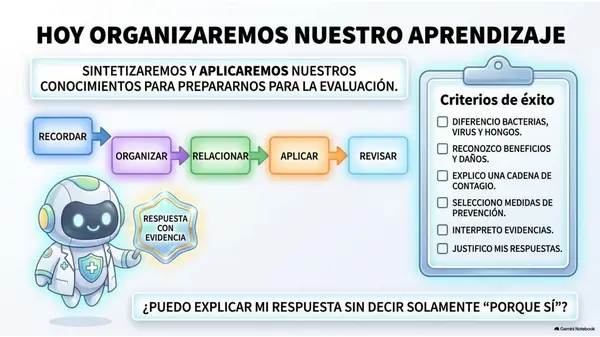 Clase 20 | 5° Básico Ciencias Naturales: OA7 Microorganismos — Sintetizar y aplicar