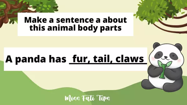 Animals body parts (Partes del cuerpo de los animales en Inglés)