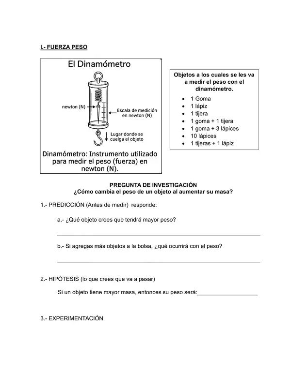 Laboratorio 4° Básico: Fuerza Magnética y Peso | Guía Experimental Completa