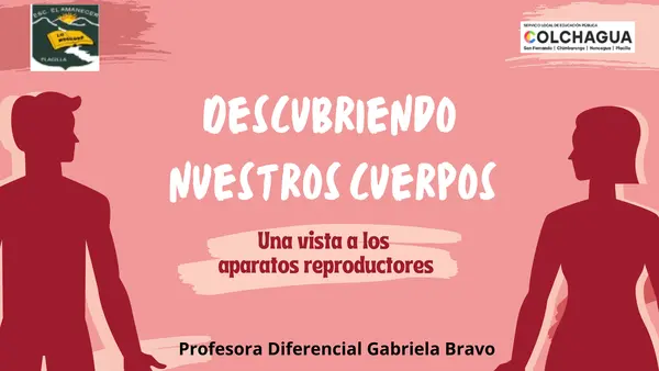 Los aparatos reproductores
