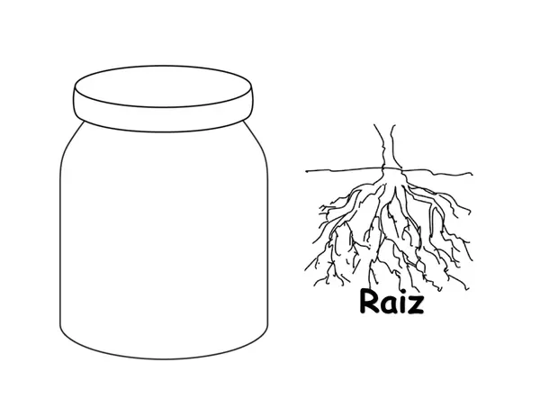 Las Plantas