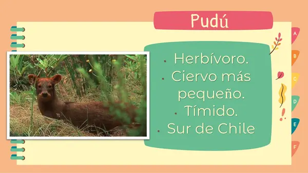 Ppt Flora y fauna Chilena