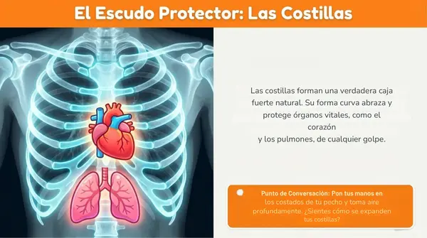 Clase 7 Lección 1 Unidad 1 "Cuidemos nuestro cuerpo" - 2° Básico