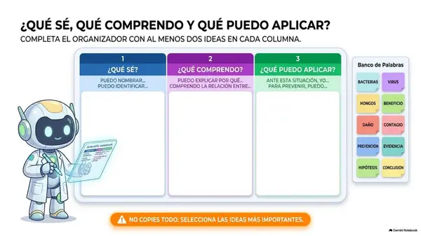 Clase 20 | 5° Básico Ciencias Naturales: OA7 Microorganismos — Sintetizar y aplicar